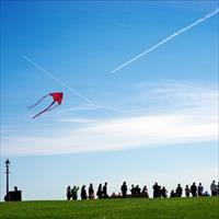 Kite