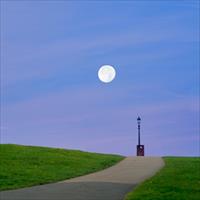 Moontlight on the HIll