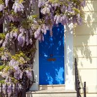 Blue Door